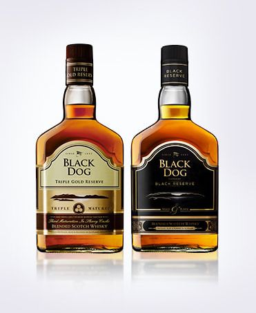 Black Dog Scotch Whisky bottle – AABL franchise manufacturing Madhya Pradesh